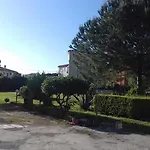 Elena *